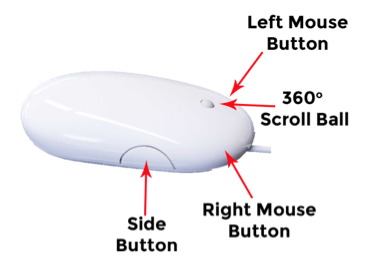 what are the functions of the mouse
