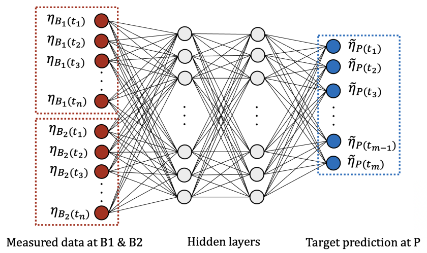Schematic of a neural network designed for surface wave prediction. The neural network approximates the true relationship between the input at the up-wave locations, B1 and B2 (highlighted in red box), and the output at the down-wave location, P (highlighted in the blue box).