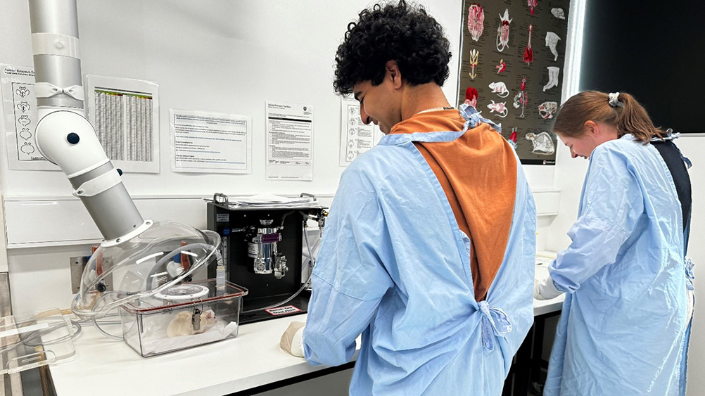 Two people in blue laboratory coats working in a science laboratory,