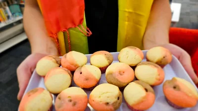 Student holding a try of colourful cupcakes.