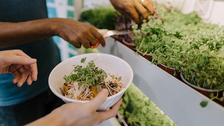 Hand holding a while bowl with fresh produce and another person's hands are in the background cutting produce.