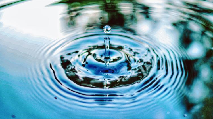 Water droplet spaced as a lowercase i sticks out from a round ripple. Green leafs reflect in the water.