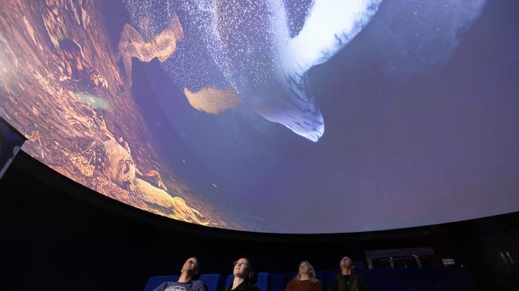 Four people seated inside a dome-shaped planetarium, looking up at a 3D image of a dolphin projected on the ceiling screen.