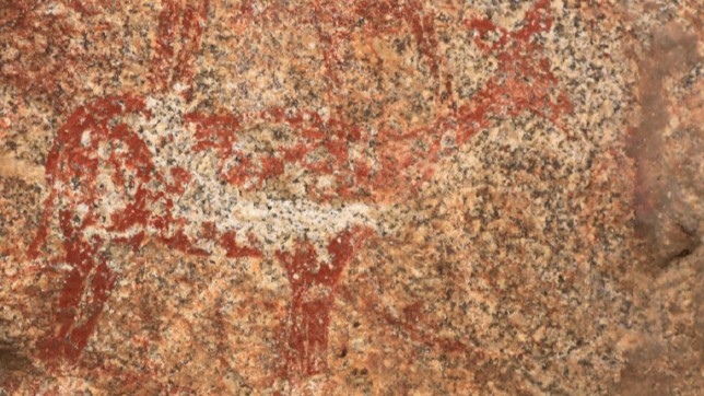 indigenous art on a rock face