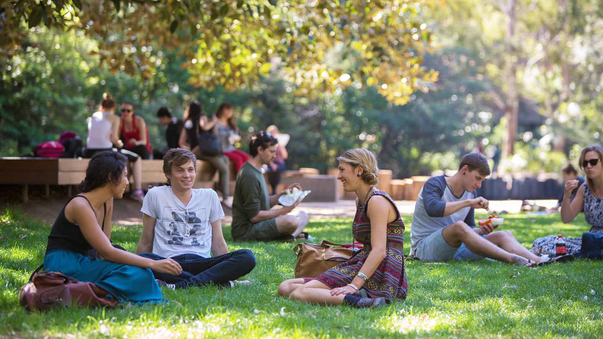 Students sitting on the grass chatting