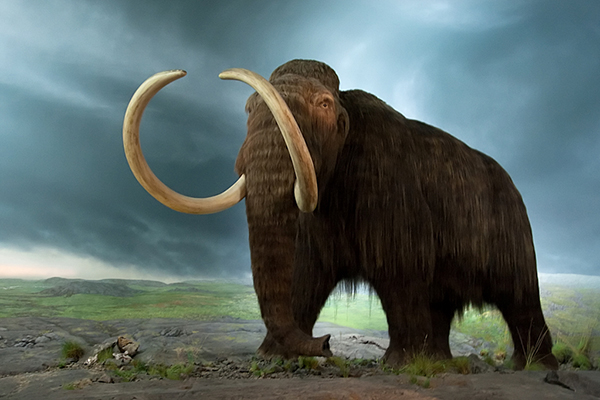 2014: Prehistoric DNA unearths the diets of ancient Arctic megafauna ...