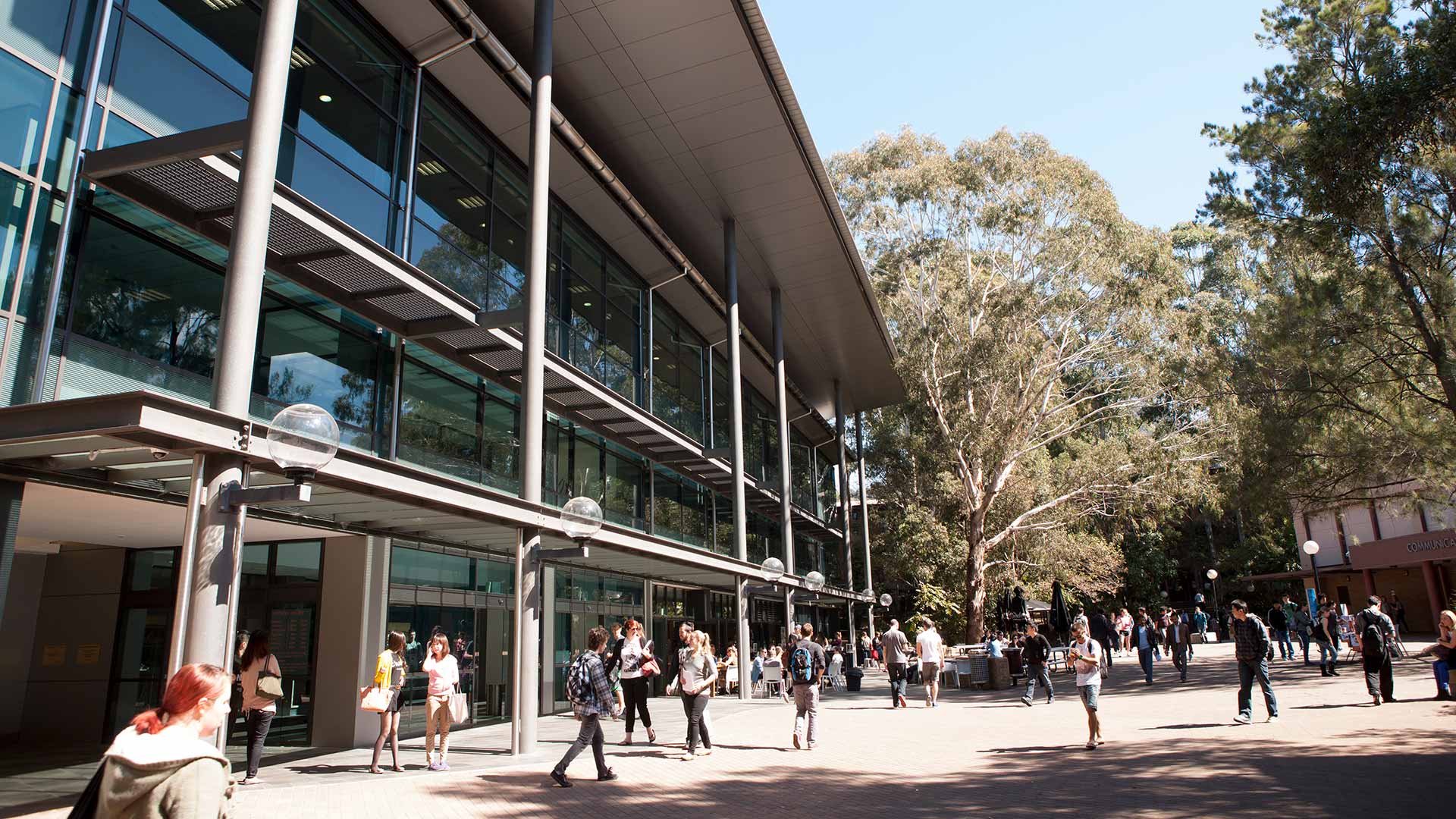 Университет Вуллонгонга. University of Wollongong Australia. Wollongong Campus. University of Wollongong Dubai scholarships.